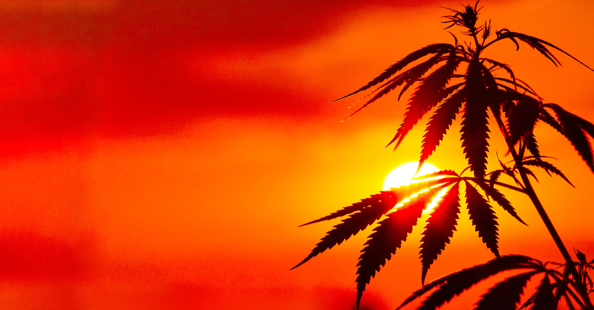 Native American Tribal Cannabis Industry: Sovereignty Issues and Economic Opportunities