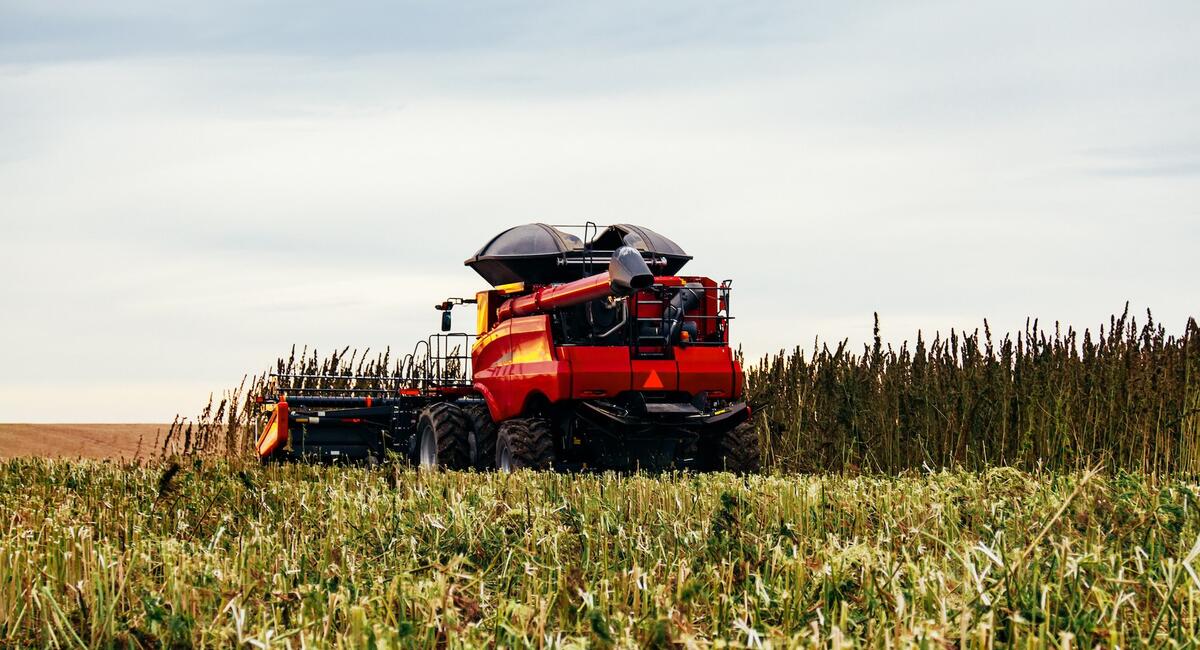 A tractor is going through a field plowing hemp plants. this represents that vicente llp provides legal counsel and policy guidance to all types of businesses engaged in cultivating, distributing, researching, and regulating the nation’s promising new agricultural commodity.