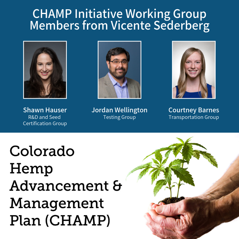 colorado champ hemp members vicente sederberg